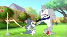 24.Tom and Jerry Hd Collection.