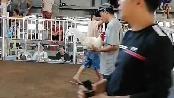 May lakad ata si straight comb ko di manlang pinagpawisan😁