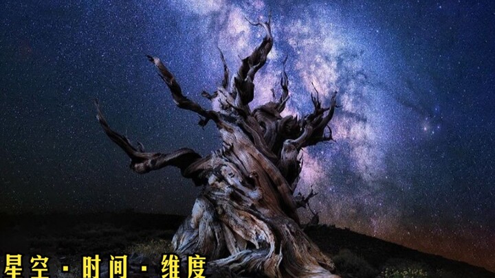 Nếu bạn có thể tìm thấy niềm vui trong việc lãng phí thời gian, thì đó đâu còn là lãng phí thời gian
