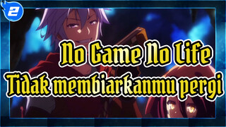 [No Game No Life] Aku tidak akan membiarkanmu pergi lain kali_2