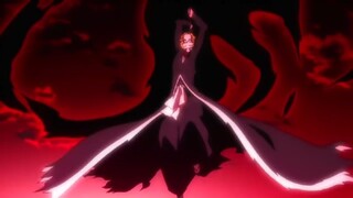 FinalBattle_Shinigami Vs Aizen_Bleach