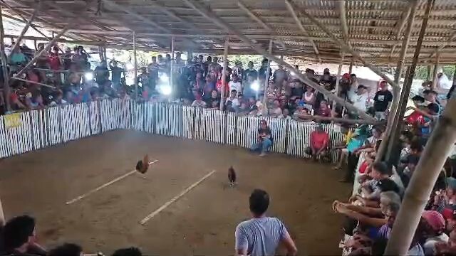 prh x tornado hma mt.banahaw line