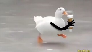 Bagaimana jika burung punya tangan?
