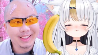 哈 基 汪 吃 欧 金 金