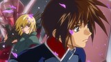 Gundam SEED - 49 - The Final Light