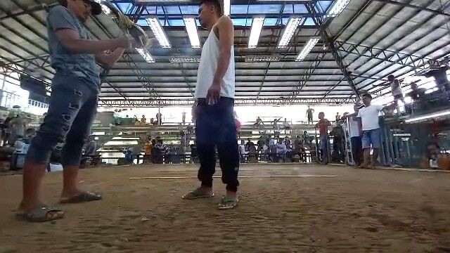idol first fight