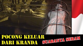 Pocong ini keluar dari kuburan' Suaranya seram bikin takut warga subhanallah