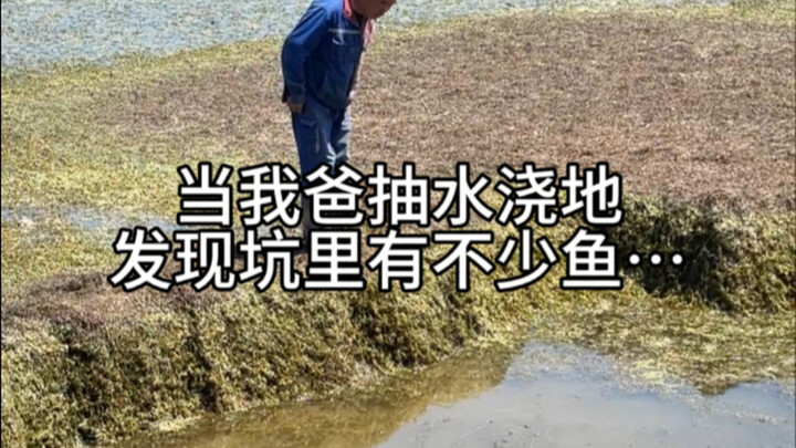 Hôm nay không nấu cơm, cùng bố bắt cá dưới hố