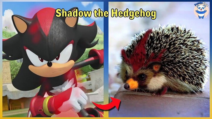 Sonic Boom Characters In Real Life