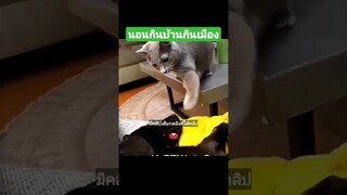 นอนกินบ้านกินเมือง