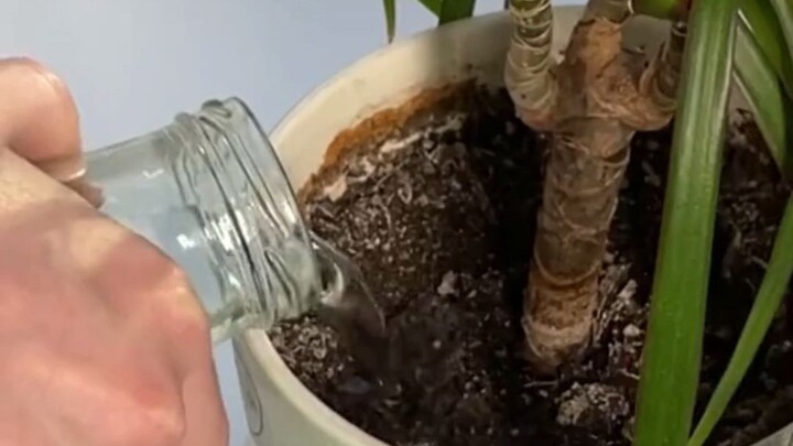 عندما تنتظر طويلاً بفارغ الصبر أمام باب المرحاض... وفي النهاية، يحدث الأمر الأكثر غرابة...