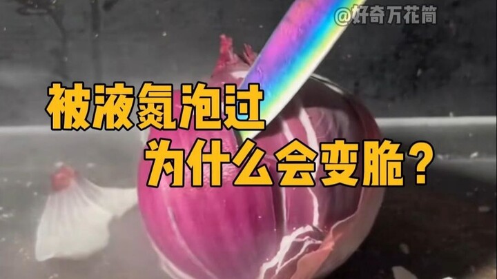 Why Does Something Become Brittle After Being Dipped in Liquid Nitrogen? #Science #StressRelief #Liq