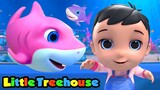 Cá mập con | Ca nhạc thiếu nhi | Vần điệu trẻ | Little Treehouse Vietnam | Hoạt Hình