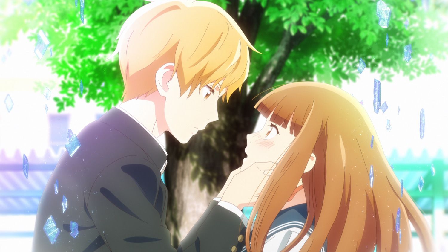 Love Me Love Me Not Bilibili