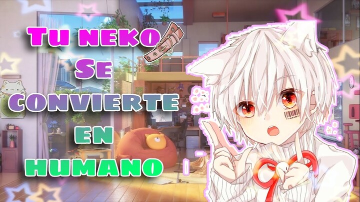 Tu neko se convierte en humano|Asmr Anime