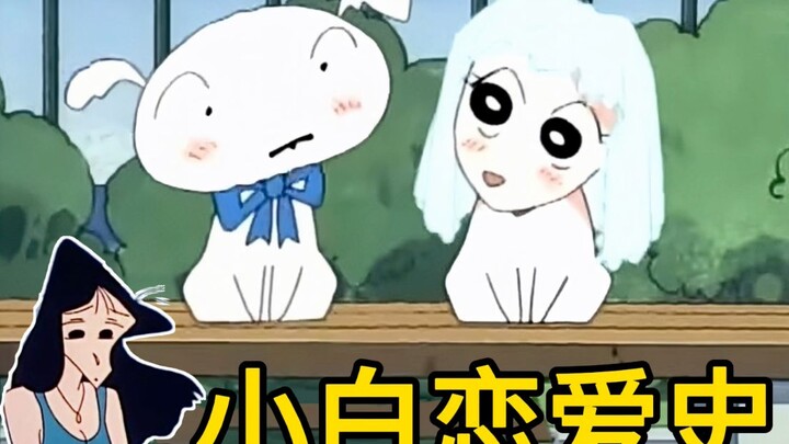 Why is Xiaobai called the Matsusaka Mei of the dog world? [Are You a Chicken? 04]
