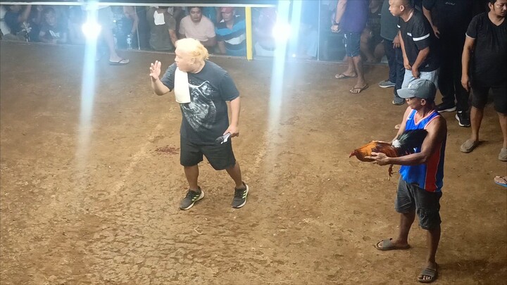 3WINS CHAMP @ POLARMAN GALLERA CAMIGUIN 2ND FIGHT