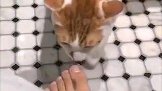 多懂事的孩子，背过身去实在是憋不住了