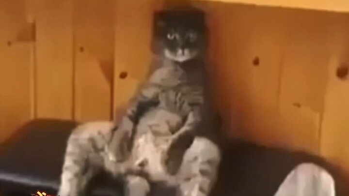 ชาวบ้าน: ผ่านมานานขนาดนี้แล้ว ความผูกพันก็เกิดขึ้นจนชินใจไปแล้ว