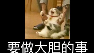 女孩子玩兰陵王的时候在想什么