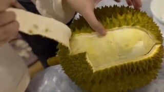 I bet this is the most grateful durian you have seen this year!