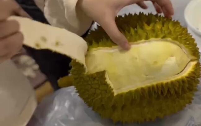 I bet this is the most grateful durian you have seen this year!