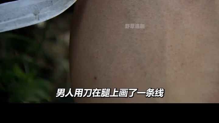 Want gold, not life #Sarina #Song Jia #Zhu Yawen #Niu Li #Li Yunlong