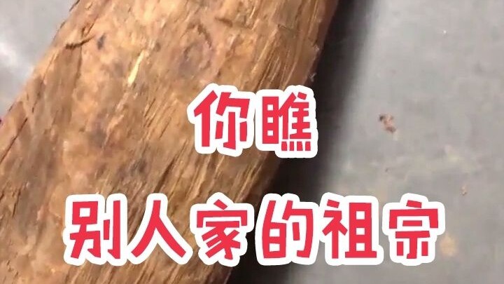 别人家的老祖宗...