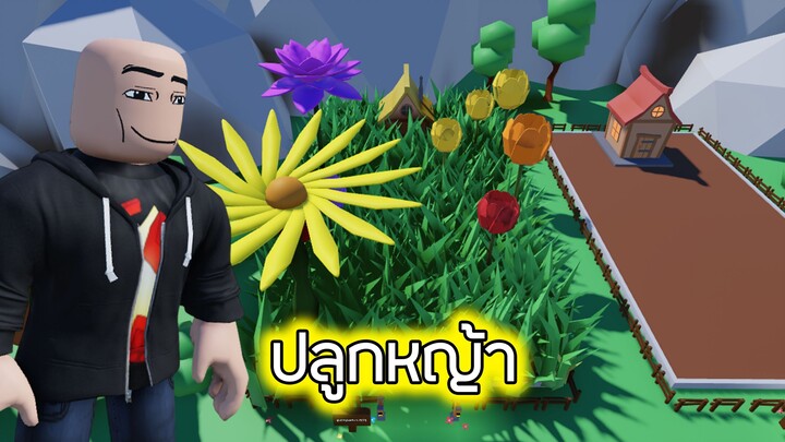 Roblox : ปลูกหญ้า 2 - Watch Grass Grow Simulator