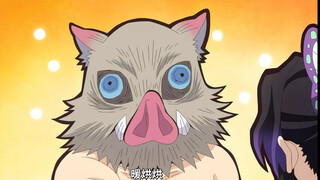 猪猪不懂什么是感情 遇到对它好的人就会暖烘烘冒泡泡