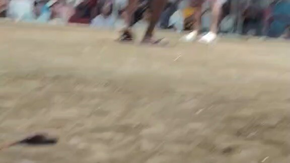 Abucay,2hits 2nd fight, Alimbyugin 1 time winner, Win 5/1/26 (Champion)