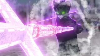 Ashina satu kucing VS satu kucing (efek khusus buatan sendiri)