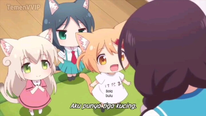 Nyanko Days Eps 1-12 [SubInd]