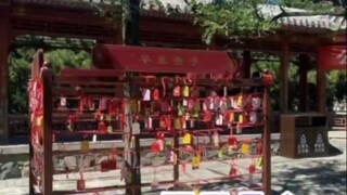 Giới trẻ bây giờ đúng là tỉnh táo đương đại nhỉ...