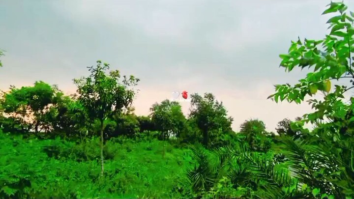 enjoy with nature
