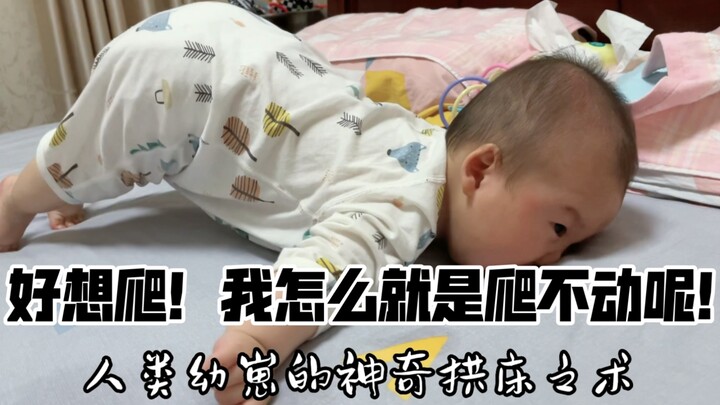 人类幼崽用尽全力在学爬，全程高萌！从小就会身体搞笑了