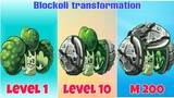 Phân tích sự thay đổi của Blockoli từ level 1 đến Mastery 200 - MK Kids
