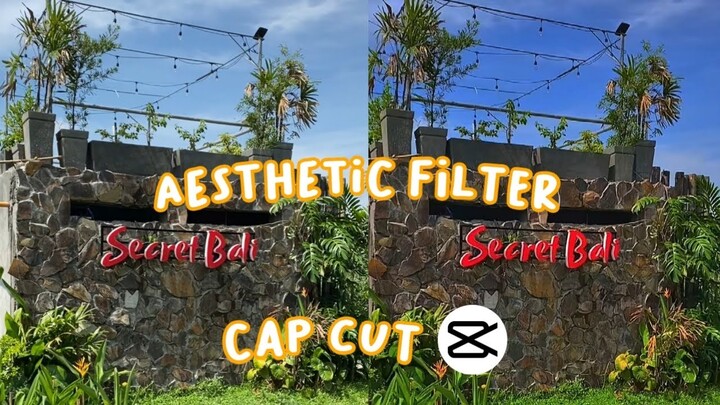 How to Edit Aesthetic Filter on CapCut | Peachy Grace