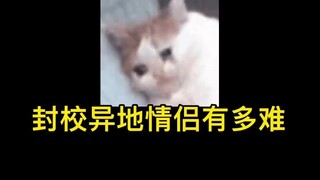 不是异地胜似异地