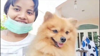 เล่นกับน้องๆ น่ารักอะไรแบบนี้ - นุ่นแม่บ้าน ตั๊กแตน ชลดา