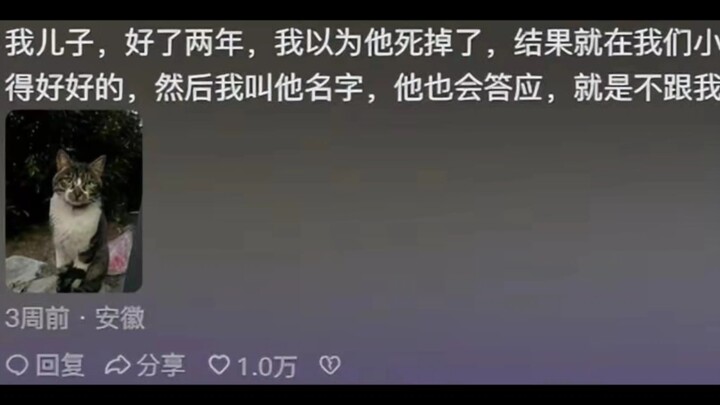 ขำตายไปแล้ว! แมวจีนหางบ่วงเก่งรอดชีวิตแค่ไหน? ชาวเน็ตบอก: เอาความเป็นป่าเป็นหลัก เลี้ยงโตปุ๊บก็หนีไป
