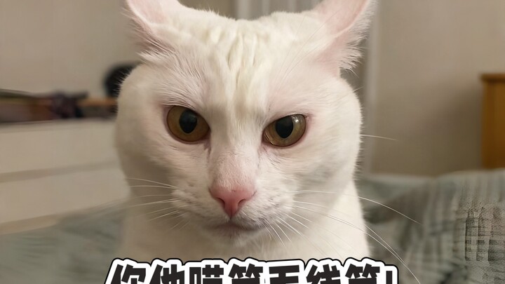 You gain a whole new layer of fat just from visiting your grandparents!