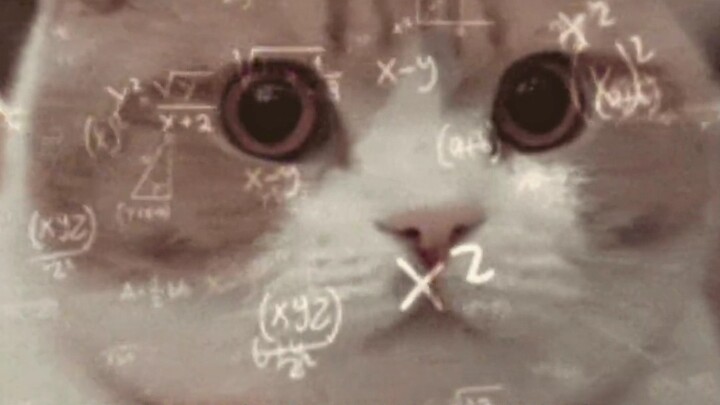 Para ilmuwan Jepang berbondong-bondong ke Tiongkok—apakah memang hanya demi uang?