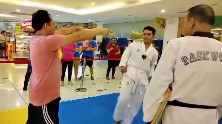 mg taekwondo bats woodbreaking