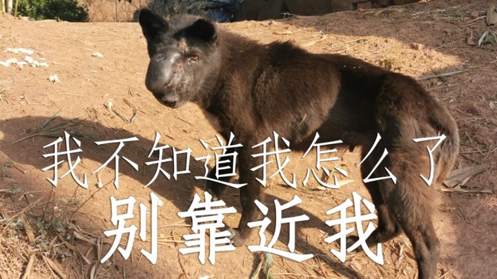 Tumor di kepala menembus rongga mulut, menyebabkan kesulitan bernapas; lalu dibawa pergi tanpa izin 