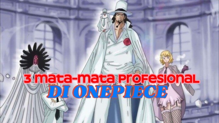 3 mata-mata Profesional Di onepiece.