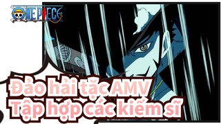 [Đảo hải tặc AMV] Tập hợp các kiếm sĩ / hoành tráng