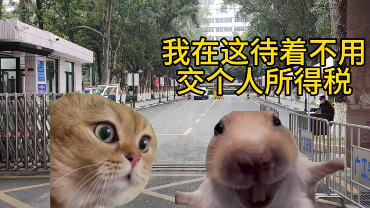 年薪百万，周末双休的好工作找到了