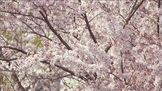 (ITAZURA NA KISS: LOVE IN TOKYO) - SEASON 2 EPISODE 5 (2013).