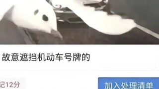 Deliberately covering up the license plate number